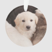 最も可愛い赤ん坊の動物 |かわいい子犬の山 オーナメント (正面)