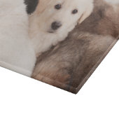 最も可愛い赤ん坊の動物 |かわいい子犬の山 カッティングボード (角)