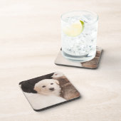 最も可愛い赤ん坊の動物 |かわいい子犬の山 コースター (右側)