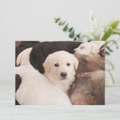 最も可愛い赤ん坊の動物 |かわいい子犬の山 サンキューカード (スタンド正面)