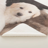 最も可愛い赤ん坊の動物 |かわいい子犬の山 シェルパブランケット (3/4)