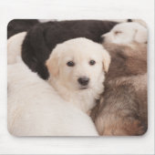 最も可愛い赤ん坊の動物 |かわいい子犬の山 マウスパッド (正面)