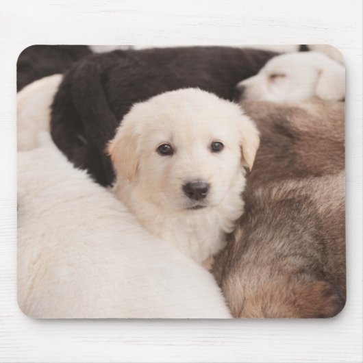 最も可愛い赤ん坊の動物 |かわいい子犬の山 マウスパッド (正面)