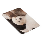 最も可愛い赤ん坊の動物 |かわいい子犬の山 マグネット (右側)