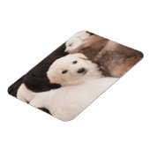 最も可愛い赤ん坊の動物 |かわいい子犬の山 マグネット (左側)