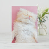 最も可愛い赤ん坊の動物 |かわいい子猫が寝ている サンキューカード (スタンド正面)