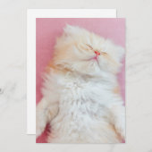 最も可愛い赤ん坊の動物 |かわいい子猫が寝ている サンキューカード (正面/裏面)