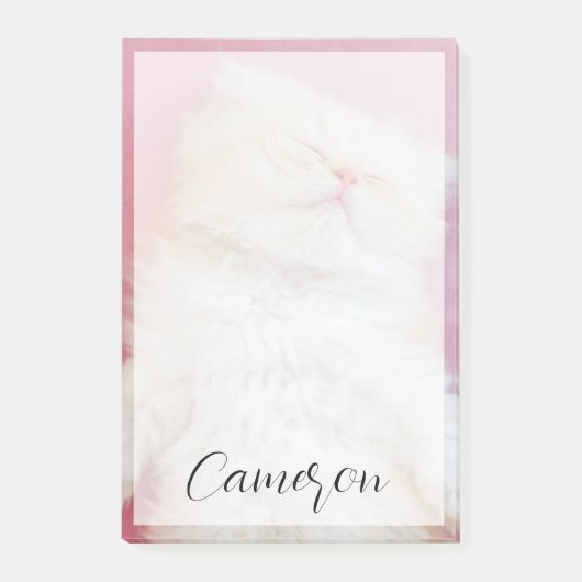 最も可愛い赤ん坊の動物 |かわいい子猫が寝ている ポストイット (正面)