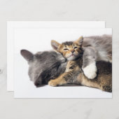 最も可愛い赤ん坊の動物 |かわいい子猫ハグ サンキューカード (正面/裏面)