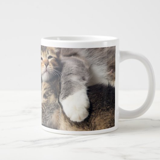 最も可愛い赤ん坊の動物 |かわいい子猫ハグ ジャンボコーヒーマグカップ (右)