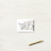 最も可愛い赤ん坊の動物 |かわいい子猫ハグ ポストイット (デスク上)