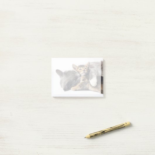 最も可愛い赤ん坊の動物 |かわいい子猫ハグ ポストイット (デスク上)