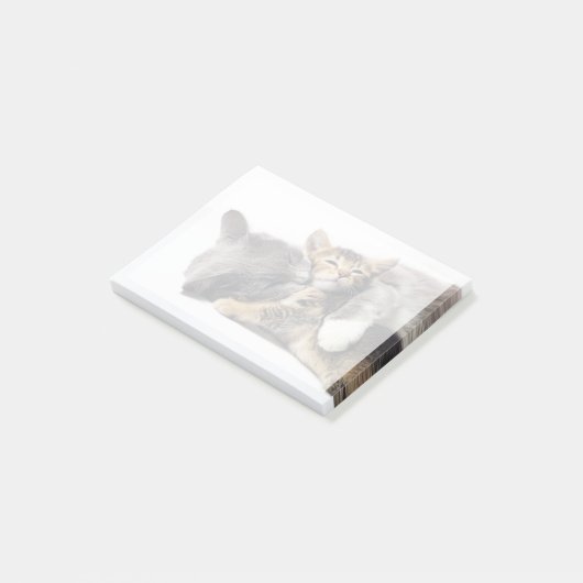 最も可愛い赤ん坊の動物 |かわいい子猫ハグ ポストイット (アングル)