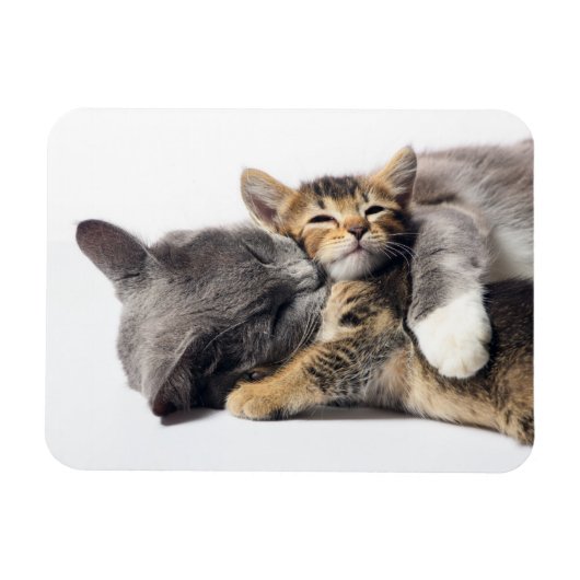 最も可愛い赤ん坊の動物 |かわいい子猫ハグ マグネット (横)