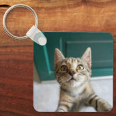 最も可愛い赤ん坊の動物 |かわいい虎猫の子猫 キーホルダー (正面)
