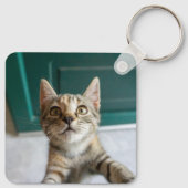 最も可愛い赤ん坊の動物 |かわいい虎猫の子猫 キーホルダー (裏面)