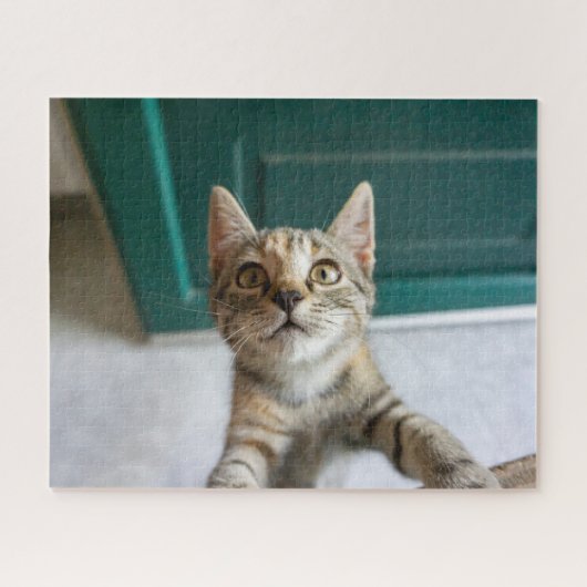 最も可愛い赤ん坊の動物 |かわいい虎猫の子猫 ジグソーパズル (横)