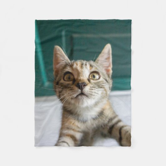最も可愛い赤ん坊の動物 |かわいい虎猫の子猫 フリースブランケット (正面)