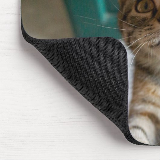 最も可愛い赤ん坊の動物 |かわいい虎猫の子猫 マウスパッド (コーナー)