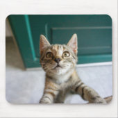 最も可愛い赤ん坊の動物 |かわいい虎猫の子猫 マウスパッド (正面)