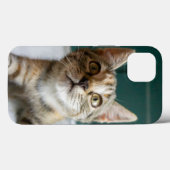 最も可愛い赤ん坊の動物 |かわいい虎猫の子猫 Case-Mate iPhoneケース (裏面 (横))