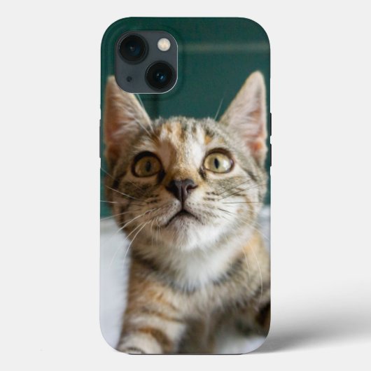 最も可愛い赤ん坊の動物 |かわいい虎猫の子猫 Case-Mate iPhoneケース (裏面)