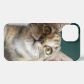 最も可愛い赤ん坊の動物 |かわいい虎猫の子猫 iPhoneケース (裏面横)