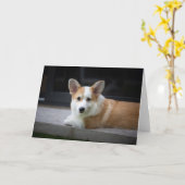 最も可愛い赤ん坊の動物 |のリラックスコーギの子犬 カード (黄色い花)