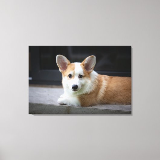 最も可愛い赤ん坊の動物 |のリラックスコーギの子犬 キャンバスプリント (正面)