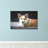 最も可愛い赤ん坊の動物 |のリラックスコーギの子犬 キャンバスプリント (インサイチュ (ウッドフロア))