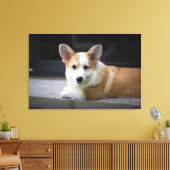 最も可愛い赤ん坊の動物 |のリラックスコーギの子犬 キャンバスプリント (インサイチュ (リビング))
