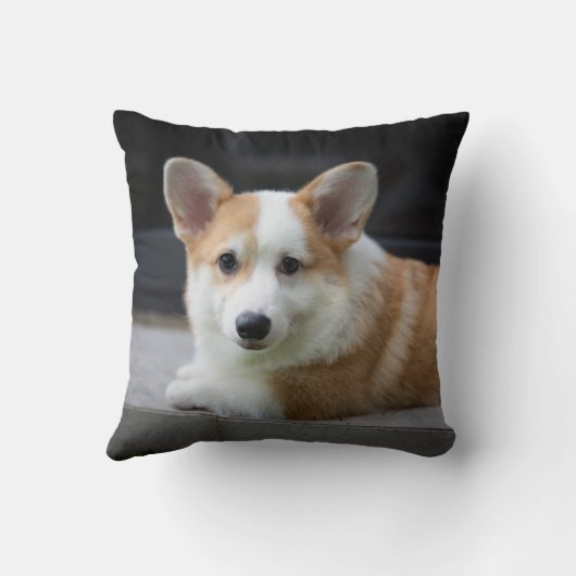 最も可愛い赤ん坊の動物 |のリラックスコーギの子犬 クッション (裏面)