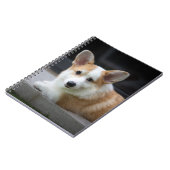 最も可愛い赤ん坊の動物 |のリラックスコーギの子犬 ノートブック (左側)