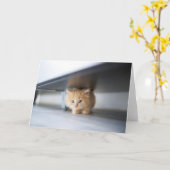 最も可愛い赤ん坊の動物 |ふわふわのオレンジ色の子猫 カード (黄色い花)