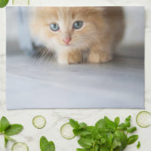 最も可愛い赤ん坊の動物 |ふわふわのオレンジ色の子猫 キッチンタオル (折り畳み)