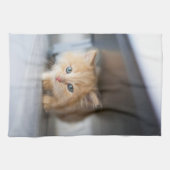 最も可愛い赤ん坊の動物 |ふわふわのオレンジ色の子猫 キッチンタオル (横)