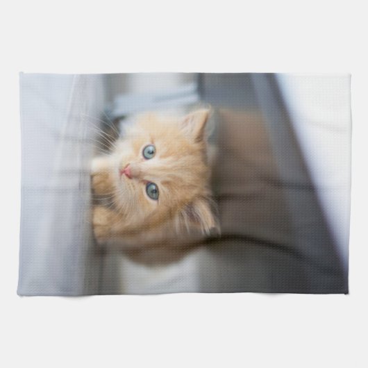 最も可愛い赤ん坊の動物 |ふわふわのオレンジ色の子猫 キッチンタオル (横)