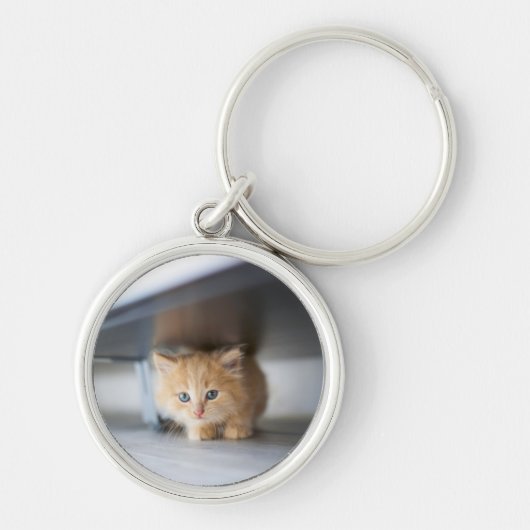 最も可愛い赤ん坊の動物 |ふわふわのオレンジ色の子猫 キーホルダー (正面)