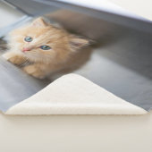 最も可愛い赤ん坊の動物 |ふわふわのオレンジ色の子猫 シェルパブランケット (3/4)