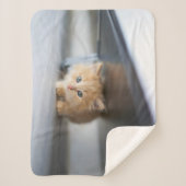 最も可愛い赤ん坊の動物 |ふわふわのオレンジ色の子猫 シェルパブランケット (正面)