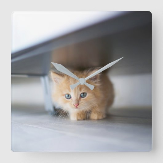 最も可愛い赤ん坊の動物 |ふわふわのオレンジ色の子猫 スクエア壁時計 (正面)