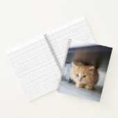 最も可愛い赤ん坊の動物 |ふわふわのオレンジ色の子猫 ノートブック (内部)