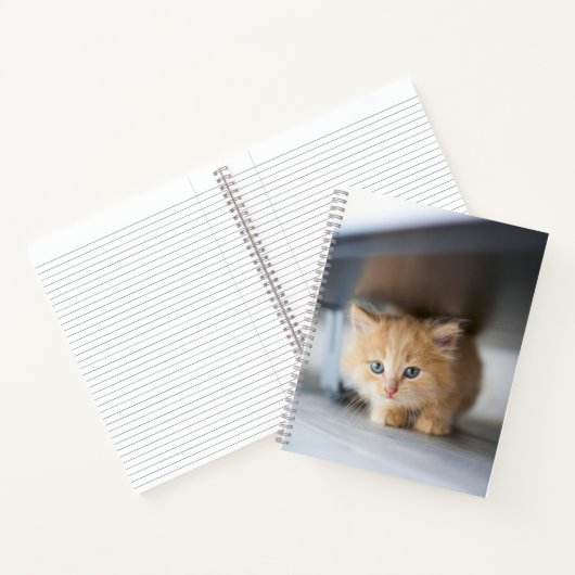 最も可愛い赤ん坊の動物 |ふわふわのオレンジ色の子猫 ノートブック (内部)