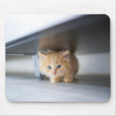 最も可愛い赤ん坊の動物 |ふわふわのオレンジ色の子猫 マウスパッド (正面)