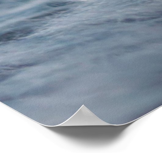 最も可愛い赤ん坊の動物 |ふわふわB&Wキッテン ポスター (角)