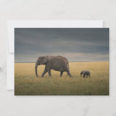 最も可愛い赤ん坊の動物 |アフリカゾウ科 サンキューカード (正面)