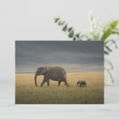 最も可愛い赤ん坊の動物 |アフリカゾウ科 サンキューカード (スタンド正面)