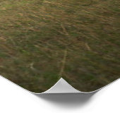 最も可愛い赤ん坊の動物 |アフリカゾウ科 ポスター (角)