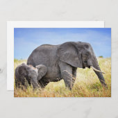 最も可愛い赤ん坊の動物 |アフリカゾウ&マザー サンキューカード (正面/裏面)