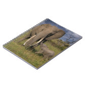 最も可愛い赤ん坊の動物 |アマゾウとベビー ノートブック (左側)